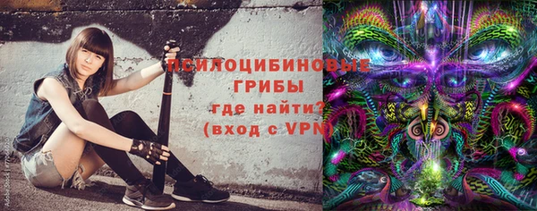 ешки Алексеевка